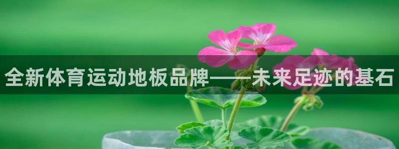 海南3377体育官网下载：全新体育运动地板品牌——未来足迹的