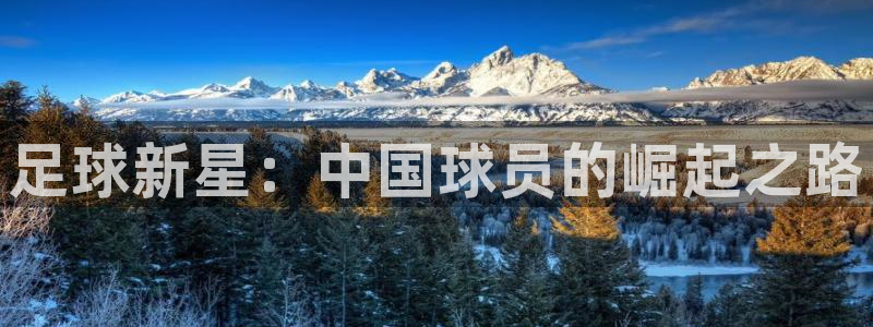 3377体育官网下载平台是正规平台吗：足球新星：中国