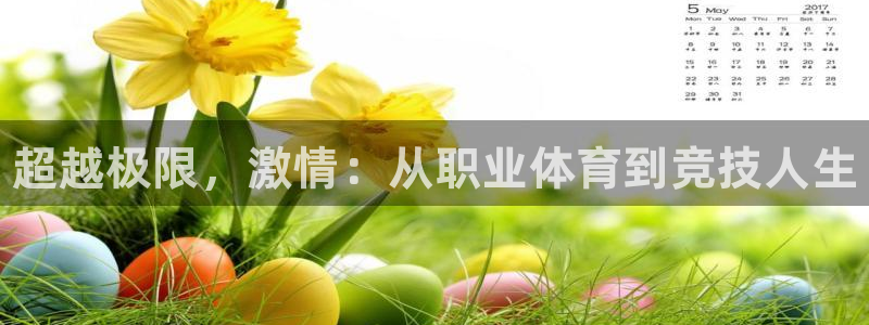 3377体育官方正版app代理：超越极限，激情：从职