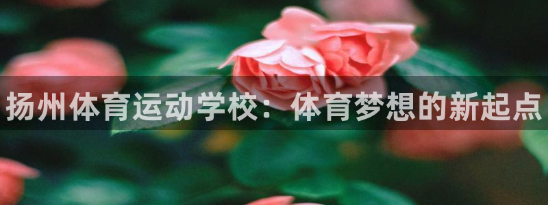 3377体育官网下载招商电话号码：扬州体育运动学校：