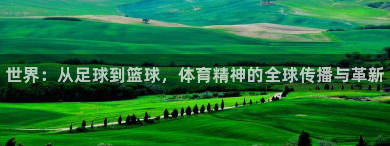3377体育官网下载招商电话号码查询是多少：世界：从足球到篮