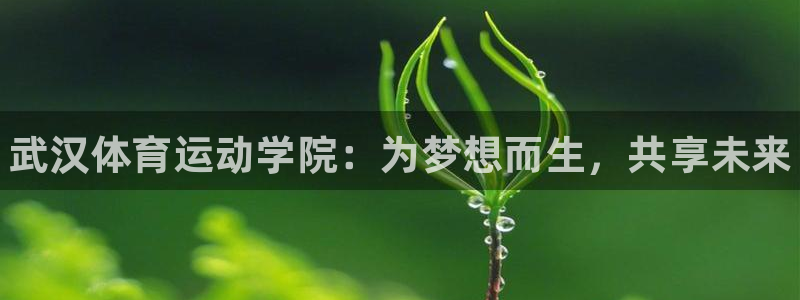 3377体育官网下载是干嘛的公司：武汉体育运动学院：