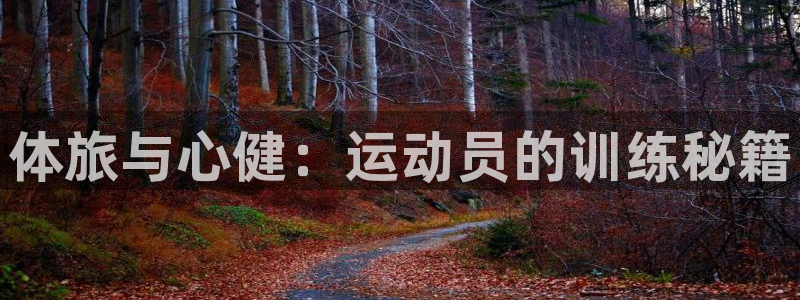 3377体育官方正版app集团E.ON：体旅与心健：运动员的