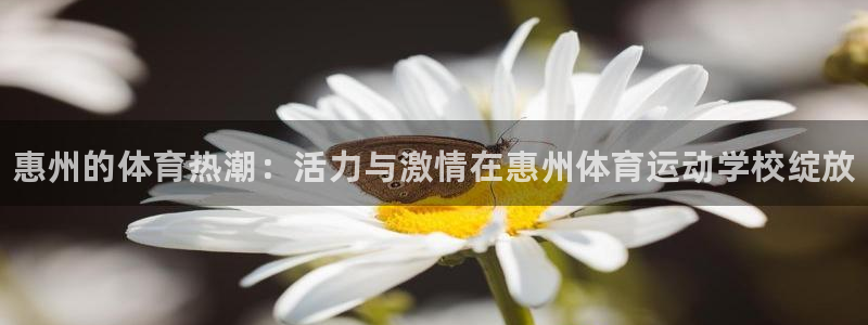 3377体育官网下载招商电话号码