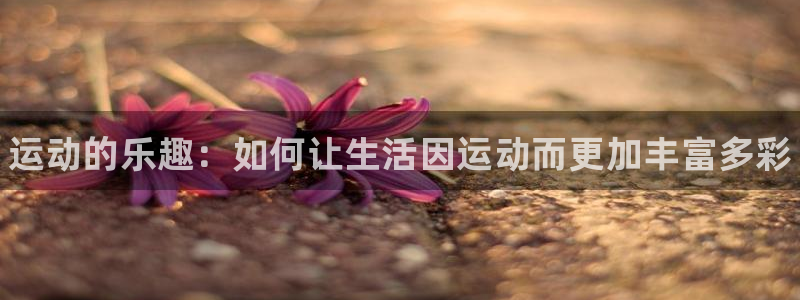 3377体育官方正版app集团E.ON：运动的乐趣：