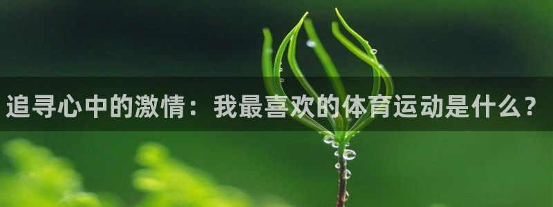 3377体育官网下载招商电话地址查询：追寻心中的激情：我最喜