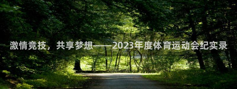 3377体育官方正版app五金厂：激情竞技，共享梦想——20