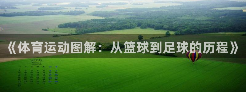 3377体育官网下载平台：《体育运动图解：从篮球到足球的历程