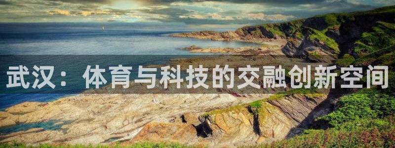 3377体育官网下载平台是正规平台吗知乎：武汉：体育与科技的