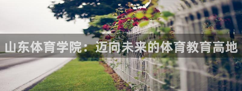 3377体育是正规平台吗