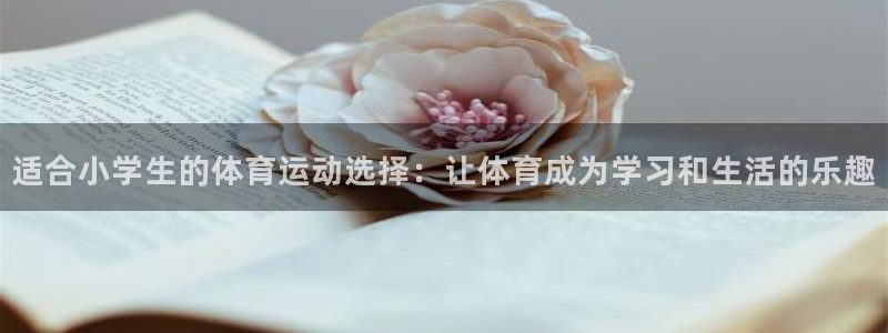 3377体育唯一官方网站：适合小学生