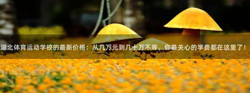  3377体育可信吗：湖北体育运动学校的最新价格：从几万元到几