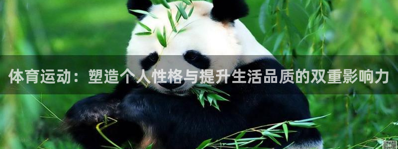 3377体育在线官网：体育运动：塑造个人性格与提升生活品质的
