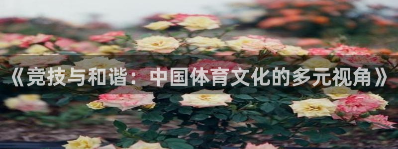  3377体育唯一官方网站：《竞技与和谐：中国体育文化的多元视