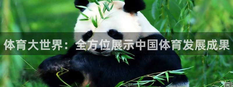 3377体育电子：体育大世界：全方位展示中国体育发展成果