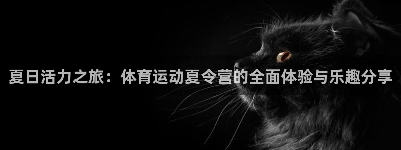  3377体育官网址：夏日活力之旅：体育运动夏令营的全面体验与