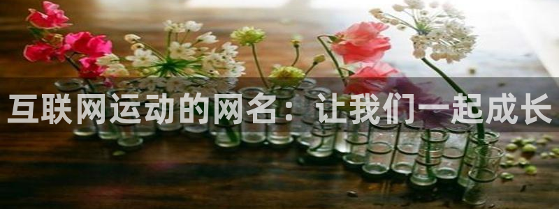 3377体育官网下载：互联网运动的网