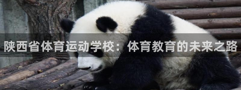 3377体育十大必吃榜：陕西省体育运