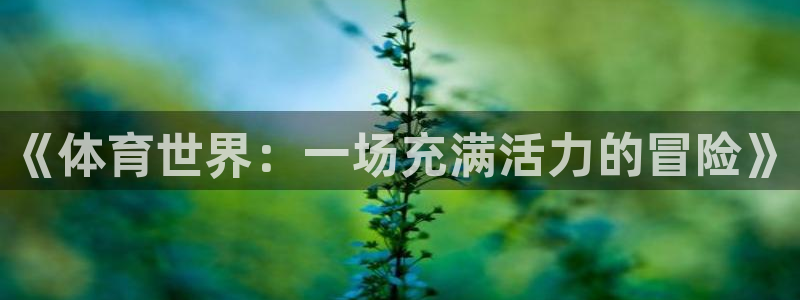 3377体育官方正版app娱乐代理怎么样