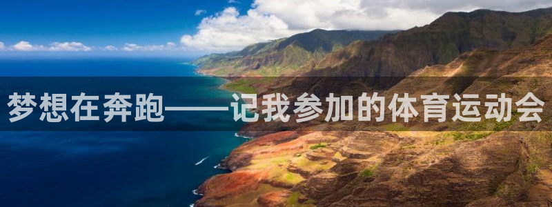 3377体育官网下载是干嘛的公司：梦想在奔跑——记我