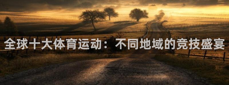 3377体育官方正版app娱乐:全球十大体育运动:不同地域的