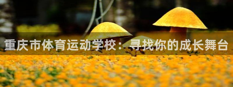 德国3377体育官方正版app集团：重庆市体育运动学
