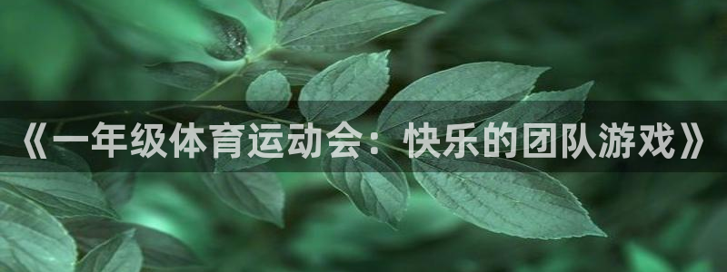 3377体育官网下载招商电话是多少啊:《一年级体育运动会:快