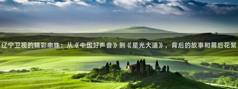 篮球直播so米：辽宁卫视的精彩串珠：从《中国好声音》到《星光大道》，背后的故事和幕后花絮