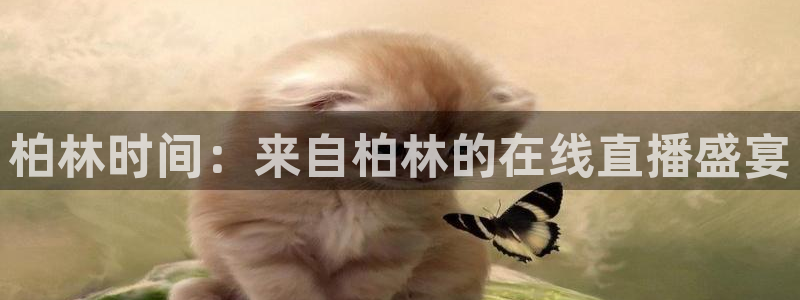 so米直播体育平台